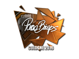 Sticker | pashaBiceps (Foil) | Cologne 2016 (Sticker | pashaBiceps (Foil) | Cologne 2016)