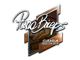 Sticker | pashaBiceps (Foil) | Boston 2018 (Sticker | pashaBiceps (Foil) | Boston 2018)