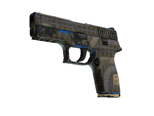 P250 | Exchanger