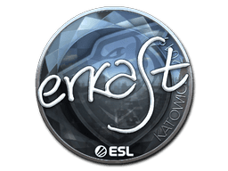Sticker | erkaSt (Foil) | Katowice 2019 (Sticker | erkaSt (Foil) | Katowice 2019)