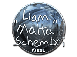Sticker | malta (Foil) | Katowice 2019 (Sticker | malta (Foil) | Katowice 2019)