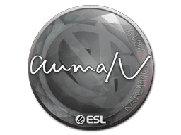 Sticker | aumaN | Katowice 2019 (Sticker | aumaN | Katowice 2019)