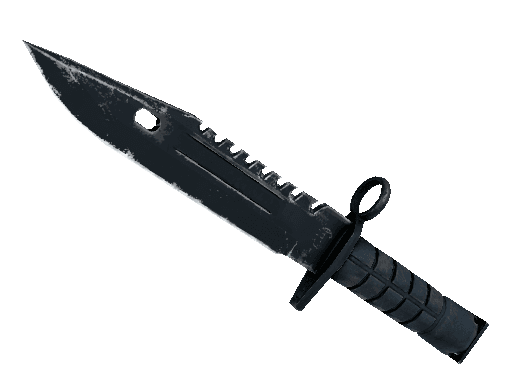 ★ M9 Bayonet | Night