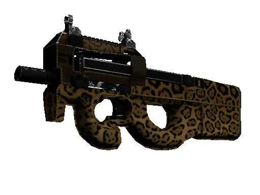 P90 | Run and Hide
