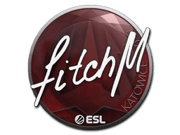 Sticker | fitch | Katowice 2019 (Sticker | fitch | Katowice 2019)