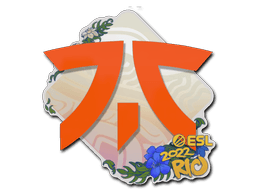 Sticker | Fnatic | Rio 2022 (Sticker | Fnatic | Rio 2022)