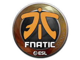 Sticker | Fnatic | Katowice 2019 (Sticker | Fnatic | Katowice 2019)