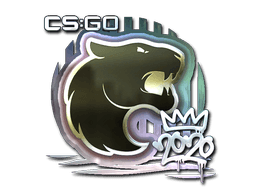 Sticker | FURIA (Foil) | 2020 RMR (Sticker | FURIA (Foil) | 2020 RMR)