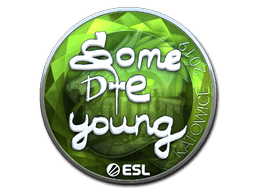 Sticker | sdy (Foil) | Katowice 2019 (Sticker | sdy (Foil) | Katowice 2019)