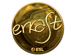 Sticker | erkaSt (Gold) | Katowice 2019 (Sticker | erkaSt (Gold) | Katowice 2019)