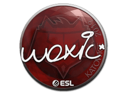 Sticker | woxic | Katowice 2019 (Sticker | woxic | Katowice 2019)