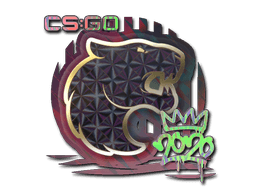 Sticker | FURIA (Holo) | 2020 RMR (Sticker | FURIA (Holo) | 2020 RMR)