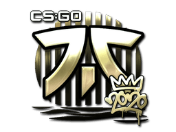 Sticker | Fnatic (Gold) | 2020 RMR (Sticker | Fnatic (Gold) | 2020 RMR)