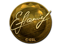 Sticker | flamie (Gold) | Katowice 2019 (Sticker | flamie (Gold) | Katowice 2019)