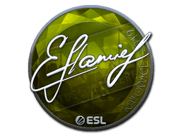 Sticker | flamie (Foil) | Katowice 2019 (Sticker | flamie (Foil) | Katowice 2019)