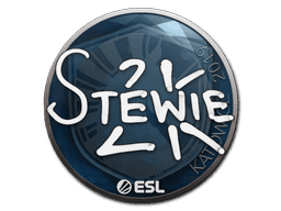 Sticker | Stewie2K | Katowice 2019 (Sticker | Stewie2K | Katowice 2019)