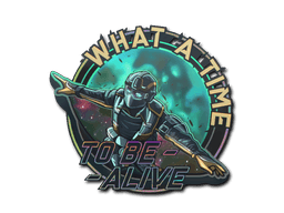 Sticker | Wingsuit (Holo) (Sticker | Wingsuit (Holo))