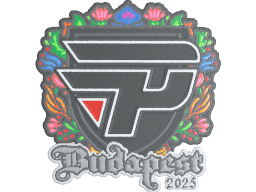 Sticker | paiN Gaming (Embroidered) | Budapest 2025 (Sticker | paiN Gaming (Embroidered) | Budapest 2025)