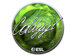 Sticker | COLDYY1 (Foil) | Katowice 2019 (Sticker | COLDYY1 (Foil) | Katowice 2019)