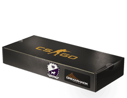 Сувенирный набор «DreamHack 2014 Cobblestone»