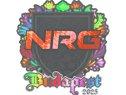 Sticker | NRG (Holo) | Budapest 2025 (Sticker | NRG (Holo) | Budapest 2025)