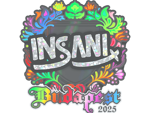 Sticker | insani (Holo) | Budapest 2025 (Sticker | insani (Holo) | Budapest 2025)