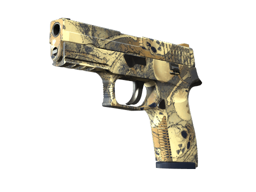 P250 | Contamination