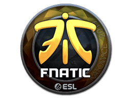 Sticker | Fnatic (Foil) | Katowice 2019 (Sticker | Fnatic (Foil) | Katowice 2019)