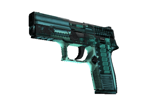 P250 | X-Ray