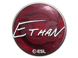 Sticker | Ethan | Katowice 2019 (Sticker | Ethan | Katowice 2019)