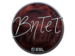 Sticker | BnTeT (Foil) | Katowice 2019 (Sticker | BnTeT (Foil) | Katowice 2019)