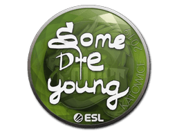 Sticker | sdy | Katowice 2019 (Sticker | sdy | Katowice 2019)