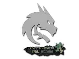 Sticker | Team Spirit | Antwerp 2022 (Sticker | Team Spirit | Antwerp 2022)