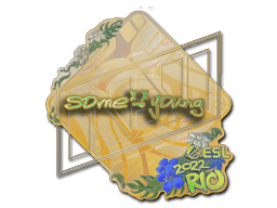Sticker | sdy (Holo) | Rio 2022 (Sticker | sdy (Holo) | Rio 2022)