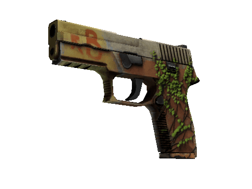 P250 | Inferno