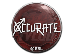 Sticker | xccurate | Katowice 2019 (Sticker | xccurate | Katowice 2019)
