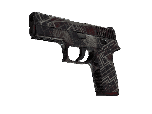 P250 | Facility Draft