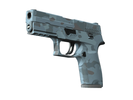 P250 | Forest Night