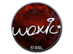 Sticker | woxic (Foil) | Katowice 2019 (Sticker | woxic (Foil) | Katowice 2019)