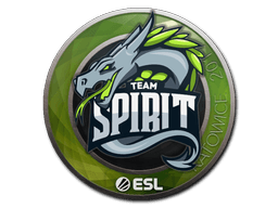 Sticker | Team Spirit | Katowice 2019 (Sticker | Team Spirit | Katowice 2019)