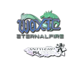Sticker | woxic (Holo) | Antwerp 2022 (Sticker | woxic (Holo) | Antwerp 2022)
