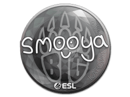 Sticker | smooya | Katowice 2019 (Sticker | smooya | Katowice 2019)