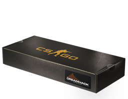 Сувенирный набор «DreamHack 2013»