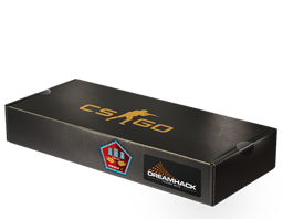 Сувенирный набор «DreamHack 2014 Mirage»