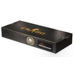 Сувенирный набор «DreamHack 2014 Dust II»