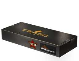 Сувенирный набор «DreamHack 2014 Cache»