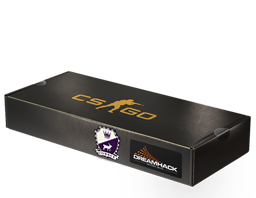 Сувенирный набор «DreamHack 2014 Cobblestone»
